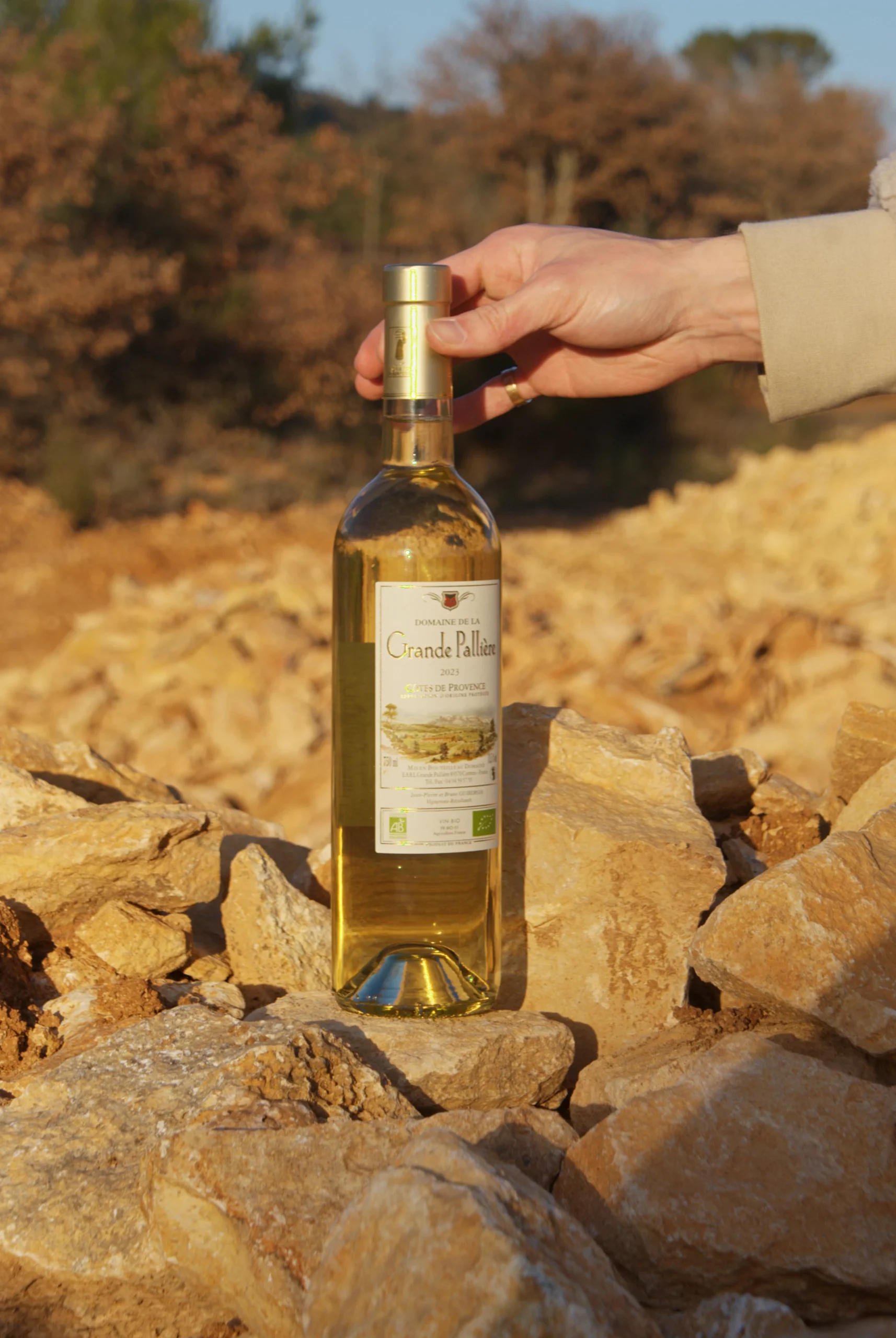 domaine de la grande palliere vin blanc bio