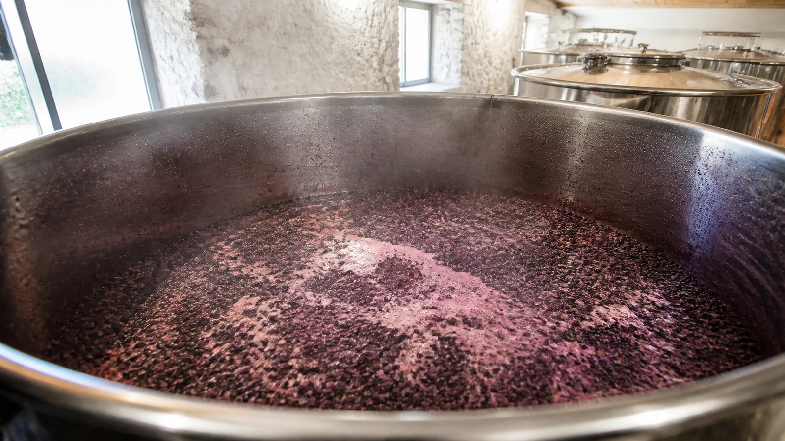 De la grappe au verre : la vinification d&rsquo;un rosé bio, pas à pas